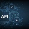NetScaler Next-Gen API
