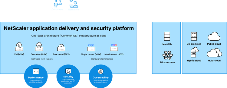 NetScaler application delivery and security platform graph